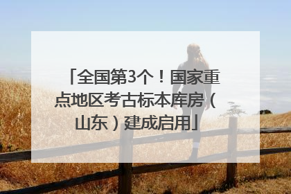 全国第3个！国家重点地区考古标本库房（山东）建成启用